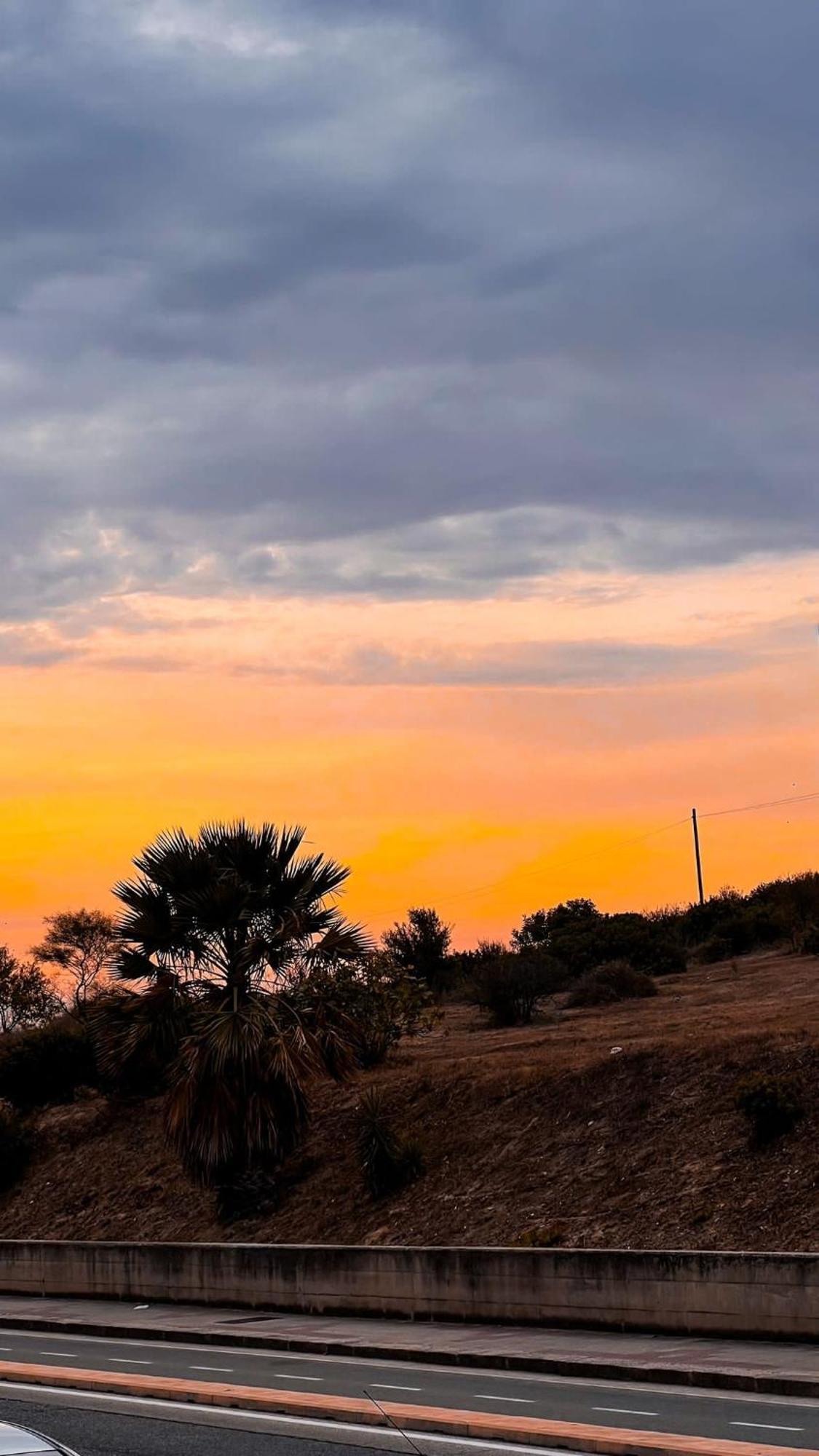 Tangerine Tree House Daire Cagliari Dış mekan fotoğraf