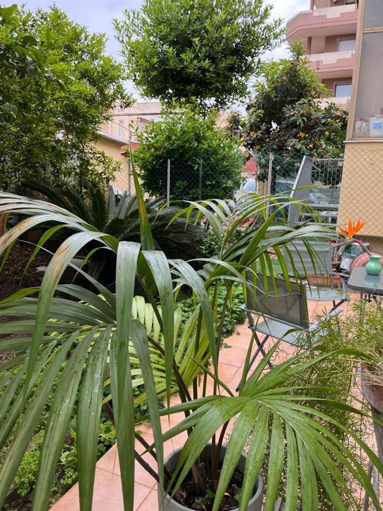 Tangerine Tree House Daire Cagliari Dış mekan fotoğraf